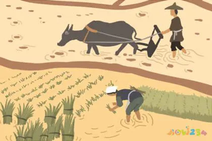 天津过年吃什么