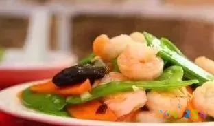 家常肉菜做法大全窍门_家常大全肉菜做法图片_家常肉菜做法大全