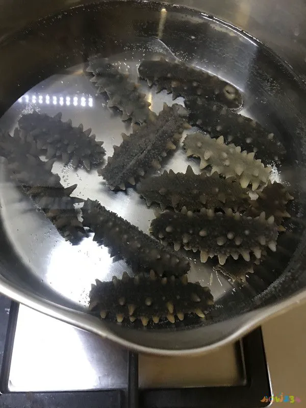 鲜海参做法大全家常做法视频_白海参的家常做法_海参炖牛腩做法大全家常做法大全