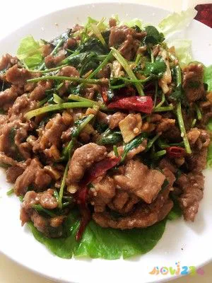 冬季滋补菜品图片_冬季滋补菜谱大全_冬季滋补家常菜pdf