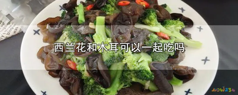 西兰花和木耳可以一起吃吗-最新西兰花和木耳可以一起吃吗整理解答