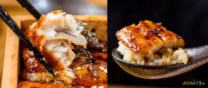 鳗鱼的家常做法_可乐鸡翅的家常做法 家常_鳗鱼烧肉做法大全家常