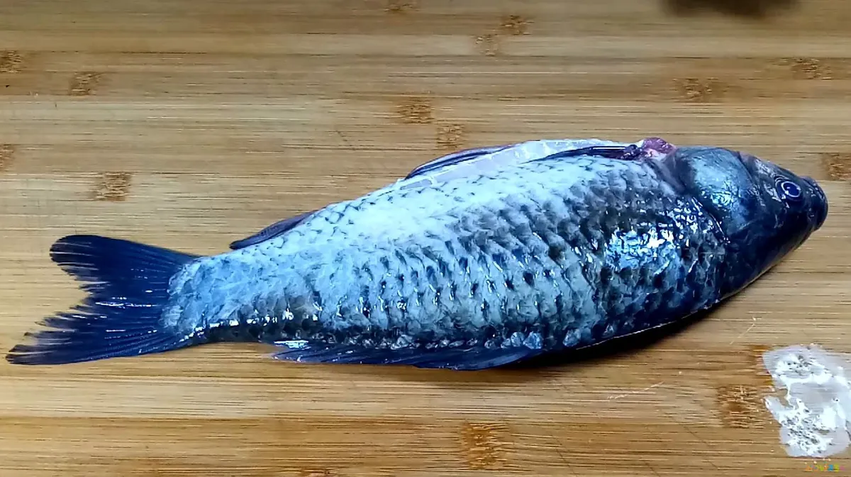 豆腐炖草鱼怎么做好吃又简单_草鱼炖豆腐的家常做法_炖豆腐家常做法草鱼视频