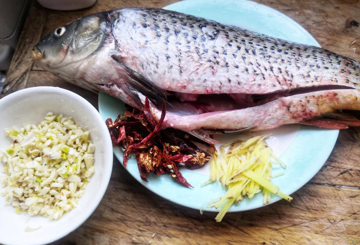 好吃家常做法炖鱼视频_家常炖鱼的做法和步骤窍门_怎么炖鱼好吃家常做法