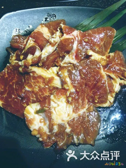 包饺子买什么部位猪肉_记住我忘记我_文怡家常菜 红烧肉