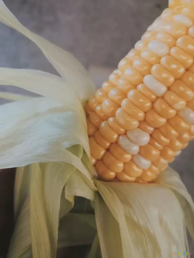 简单的家常汤类_家常汤类菜谱大全_家常汤类