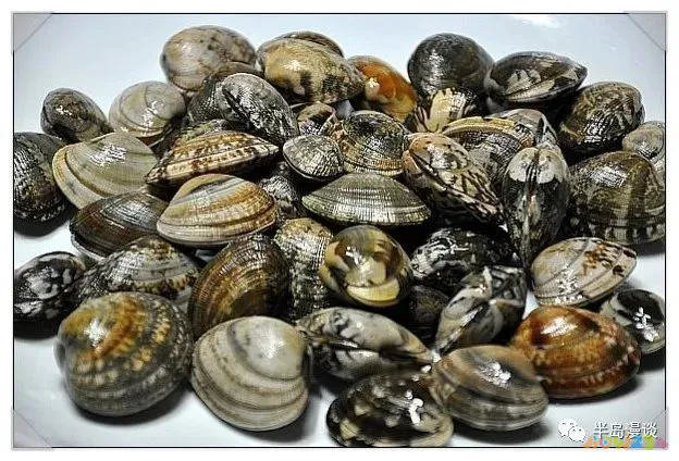 清蒸鸦片鱼步骤_清蒸鸦片鱼图片无水印_家常清蒸鸦片鱼的做法