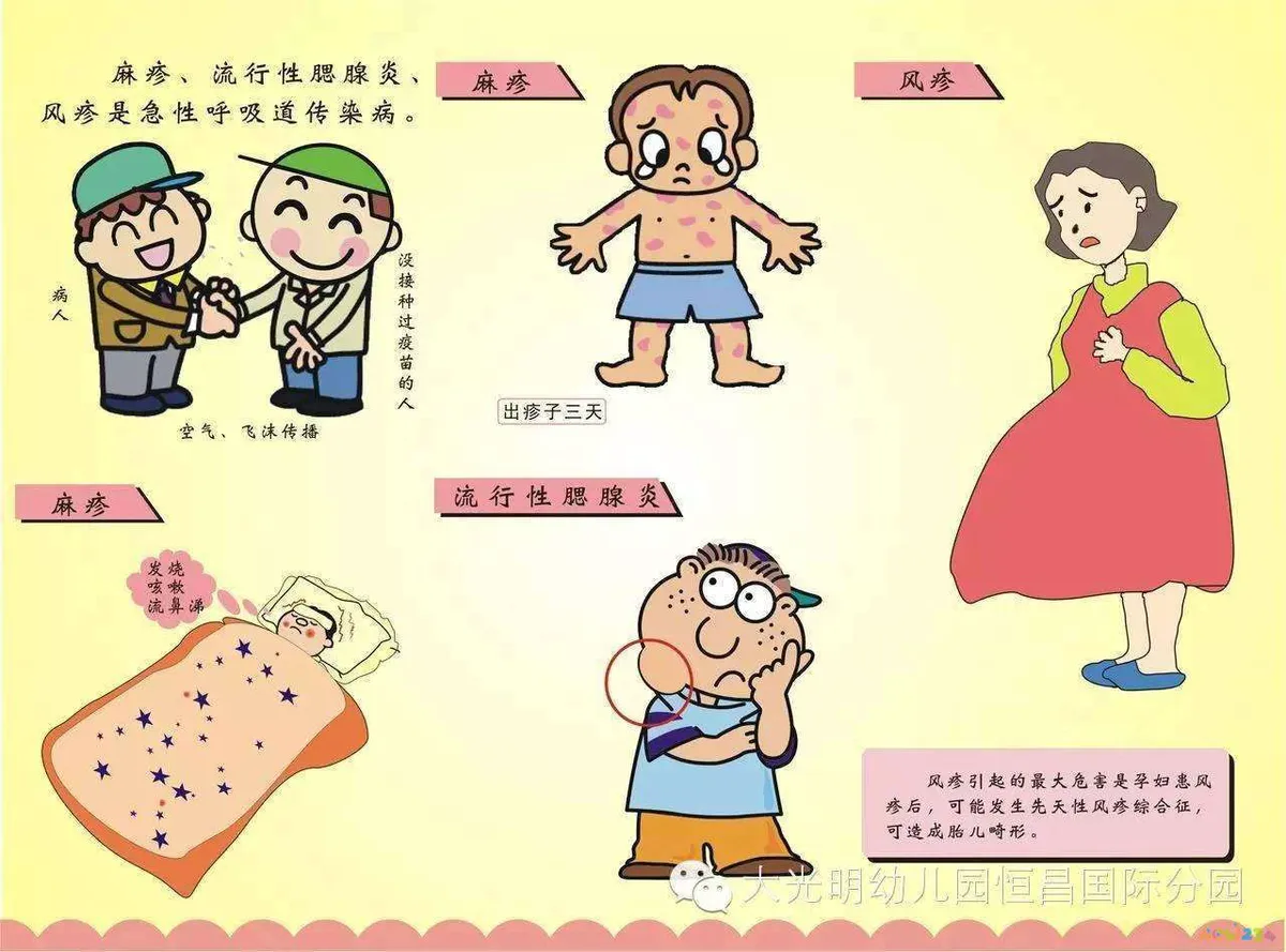 清汤全家福菜家常做法_十大家常菜_天天饮食十年典藏家常保健菜