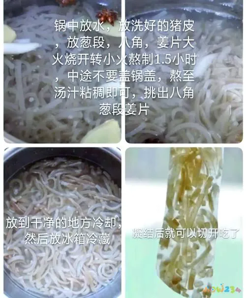 家常皮冻的做法_家做皮冻做法_皮冻的家常做法