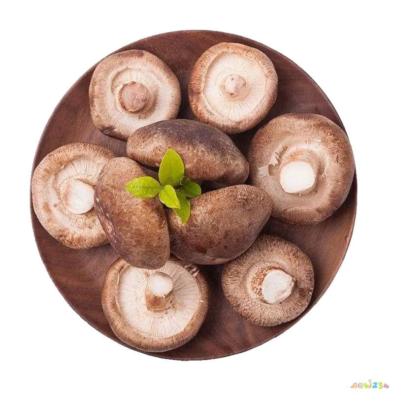 滑菇小酥肉的家常做法_鲍鱼菇的家常做法_猴头菇的家常做法