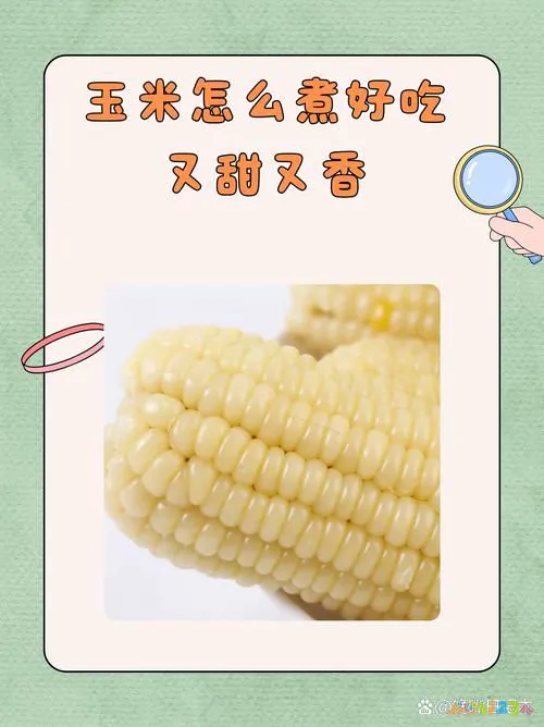 玉米家常菜谱菜做法窍门_玉米的家常菜_菜谱家常菜做法玉米