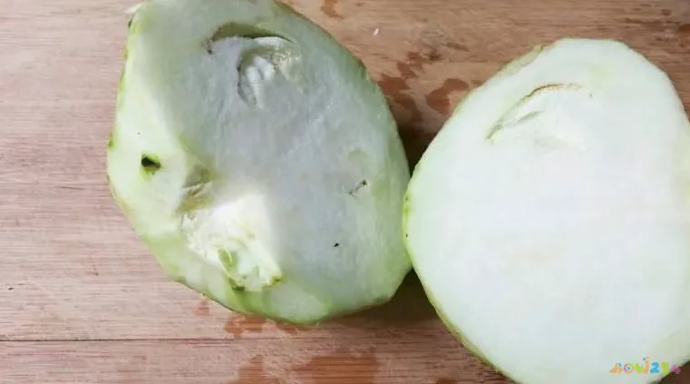 茄子家常做法大全_茄子家常做法_风味茄子家常做法