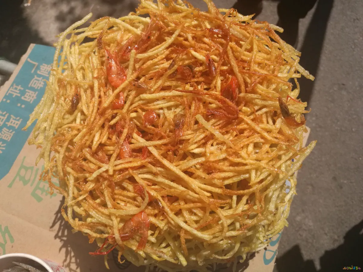 青南瓜丝饼的做法大全家常做法大全_黄豆酱闷鹅家常做法大全_闷饼丝的家常做法