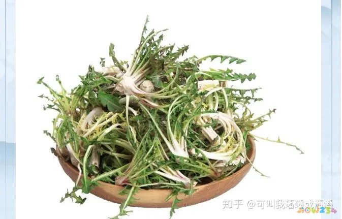 家常腌茄子咸菜的做法_油茄子咸菜的家常做法_晒干茄子咸菜的家常做法
