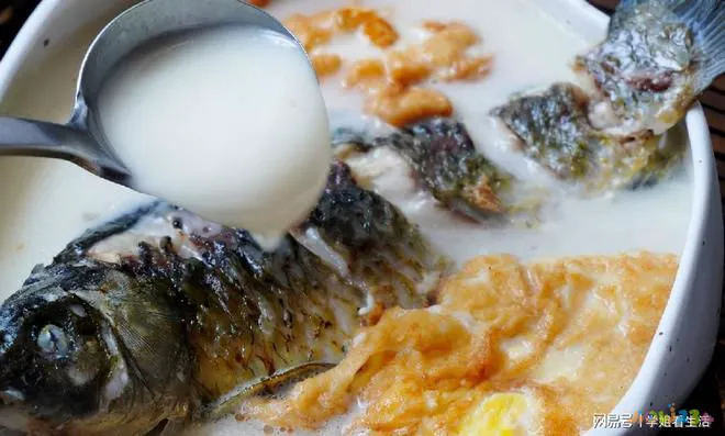 红烧鲫鱼炖豆腐的家常做法_家常炖鲫鱼_炖鲫鱼的家常做法