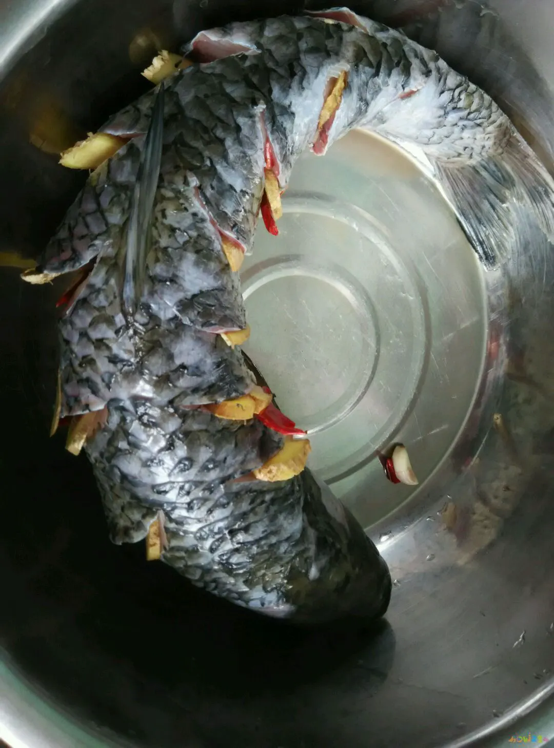 熘鱼段的做法大全家常_鱼的做法大全家常_鱼做法大全家常