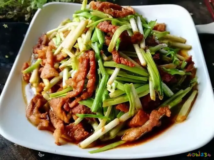 茄子家常肉丝做法窍门_茄子家常肉丝做法大全_茄子肉丝的家常做法