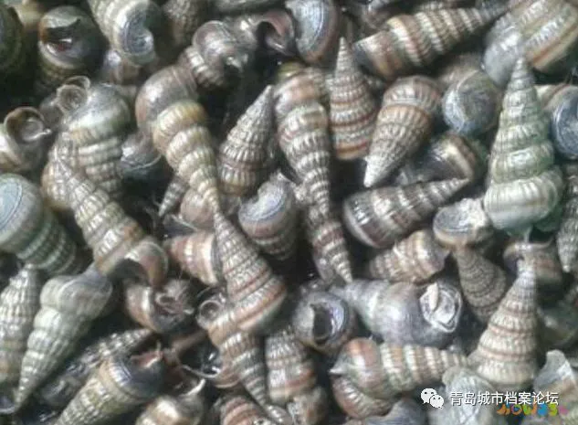 血压高辣的可以吃吗_高血压辣的东西可以吃吗_辣味家常菜高血压