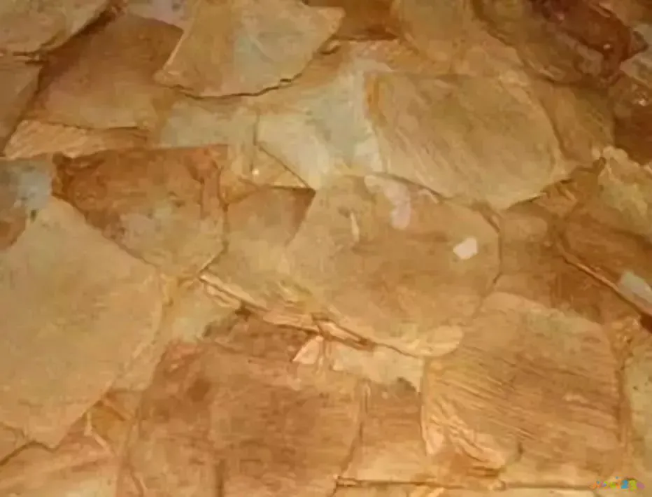 白菜焖饼的家常做法_白菜家常做法焖饼怎么做_白菜家常做法焖饼视频