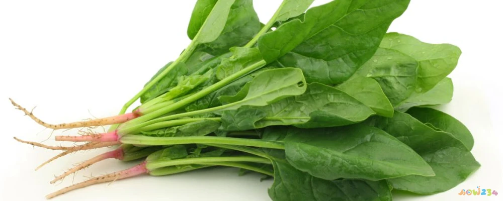 女人喝什么粥养生 夏季养生粥 夏季喝什么粥养生