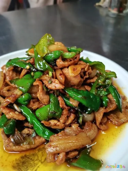 家常做法干煸豆角怎么做_干煸豆角的做法家常干煸豆角_干煸豆角的家常做法