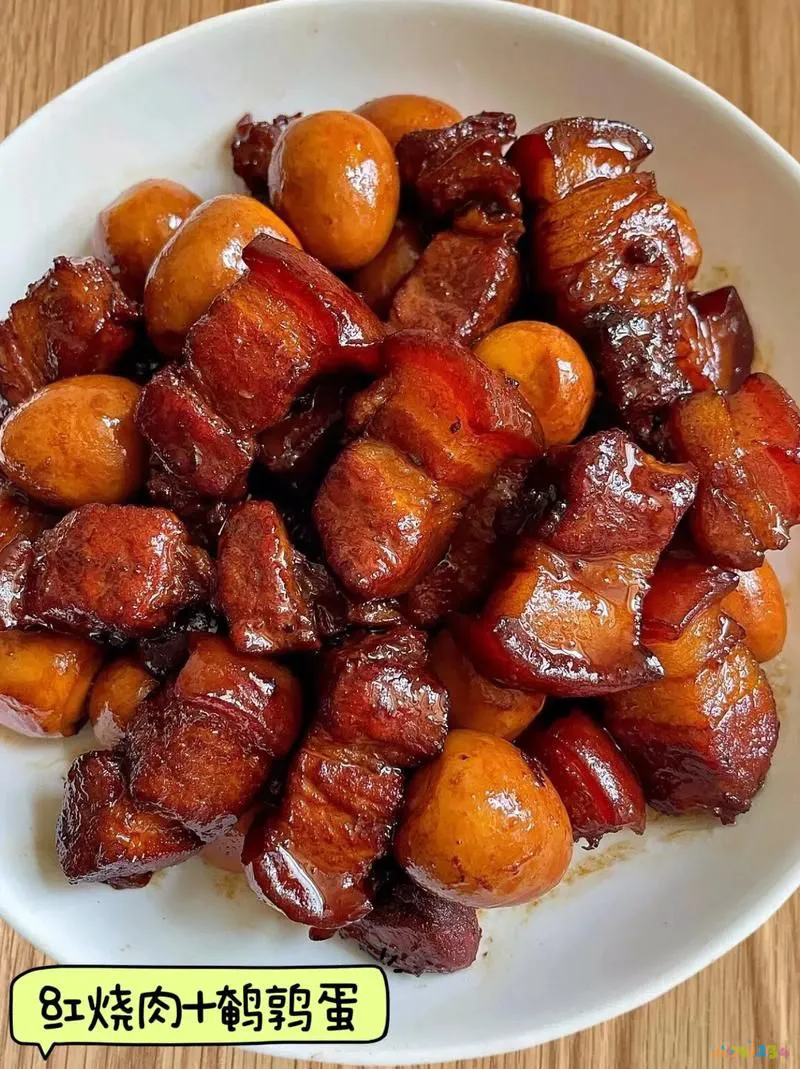 家常红烧肉做法详解_家常红烧肉做法简单的_家常红烧肉的做法