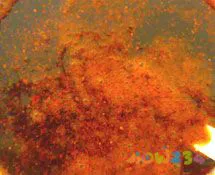 芹菜叶的做法大全家常_芹菜饼的家常做法大全_芹菜炒肉家常做法大全