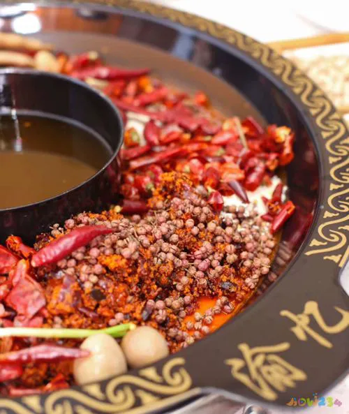 家常火锅大全_家常火锅的做法大全_自制火锅家常做法大全