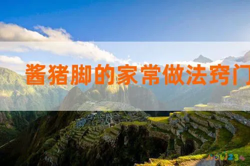 炖猪蹄的家常做法_家常煮猪蹄_煮毛煮毛豆的家常做法