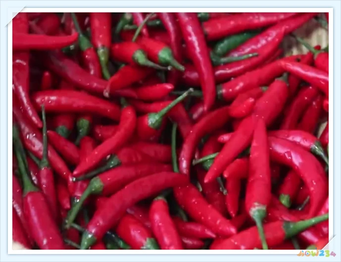 家常辣酱的做法_家常自制香辣酱的做法_水果辣酱的家常做法