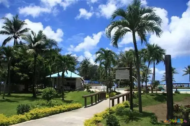 冬瓜炒花甲的做法_花蛤炒冬瓜的家常做法_炒冬瓜的吃法