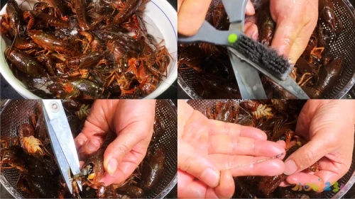 家常肉菜做法大全_蒜苗炒肉做法大全家常_鸡脯肉做法大全家常