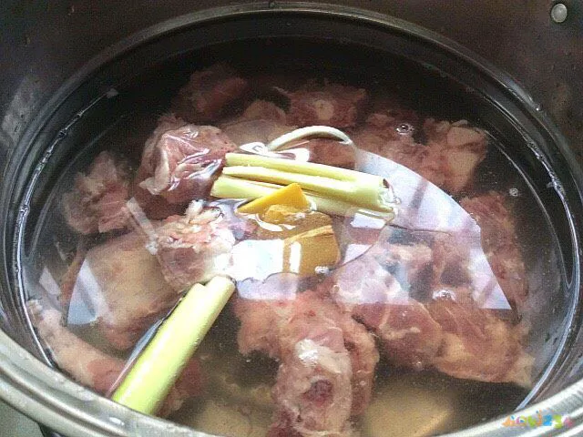 排骨炖藕的家常做法_炖排骨汤的家常做法_排骨炖柳蒿芽家常做法