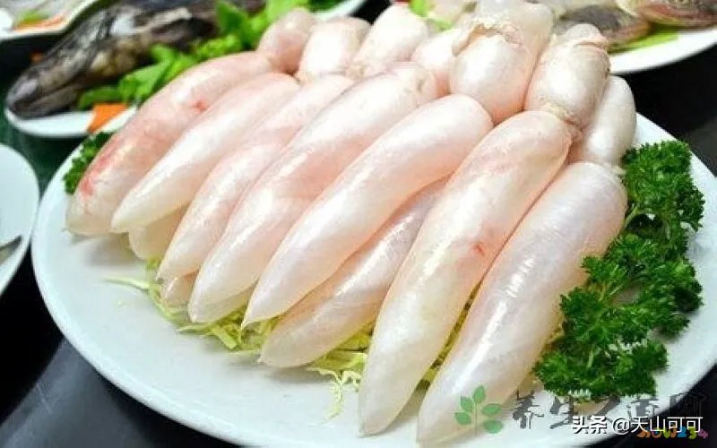 干鱼肚的家常做法_干鱼肚的家常做法窍门_如何做干鱼肚