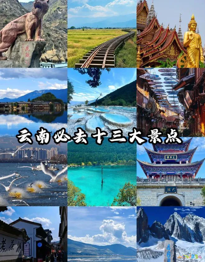 家常滚汤类菜谱大全_家常滚汤_滚汤菜谱