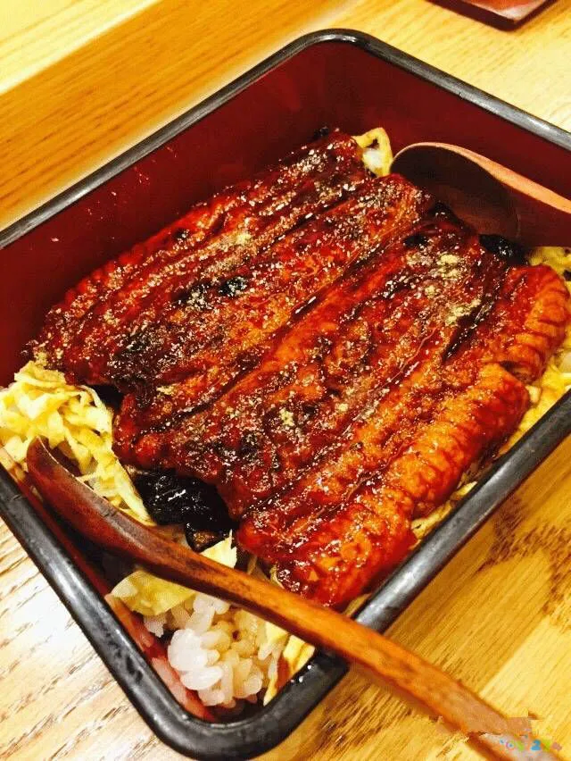 鳗鱼 做法_鳗鱼的家常做法_红烧鳗鱼干的家常做法