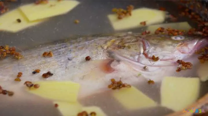 清蒸鲈鱼的家常做法_家常梭鲈鱼的做法_海鲈鱼做法大全家常