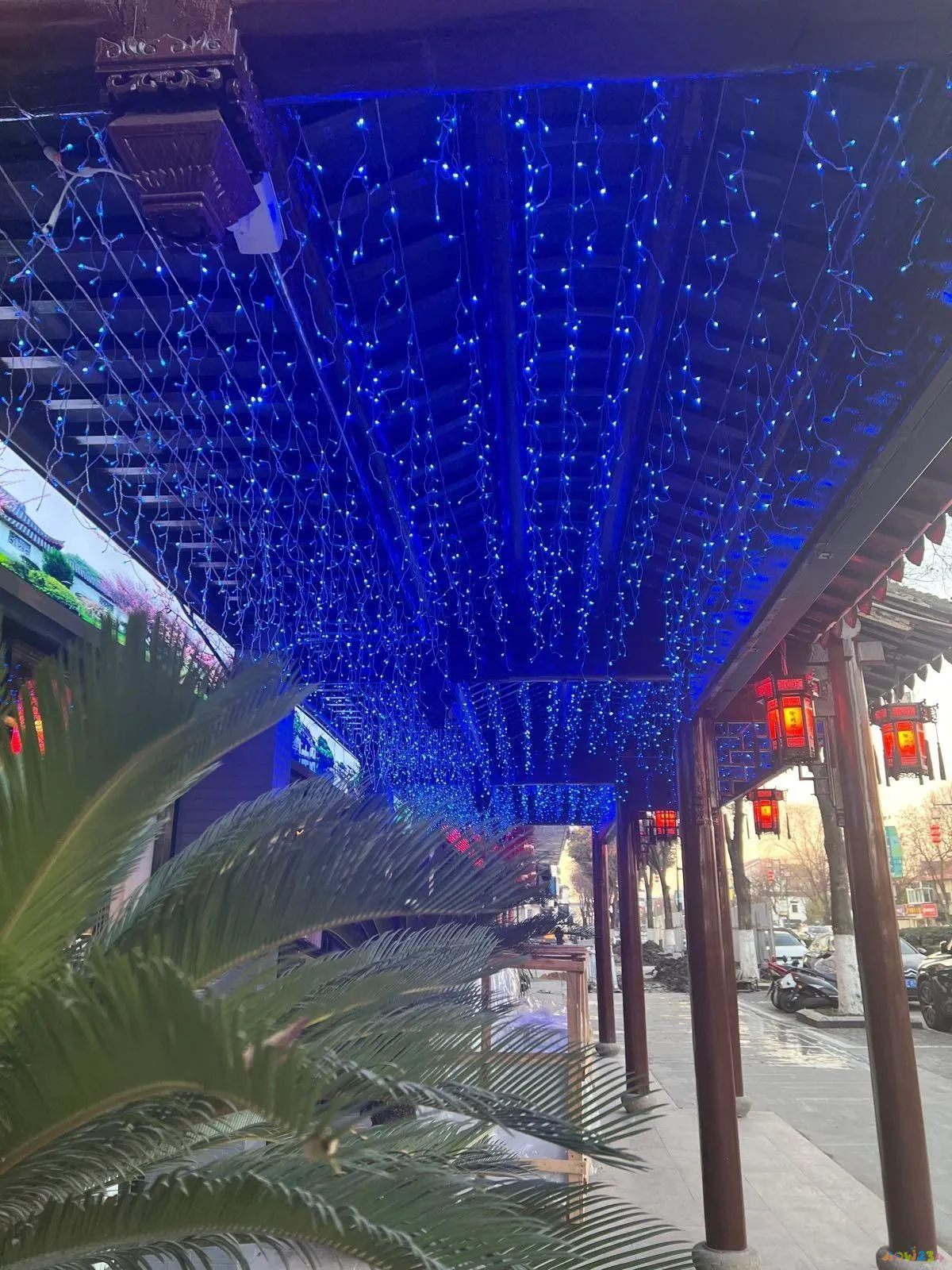 徐州菜做法视频_徐州家常菜_徐州家常菜单