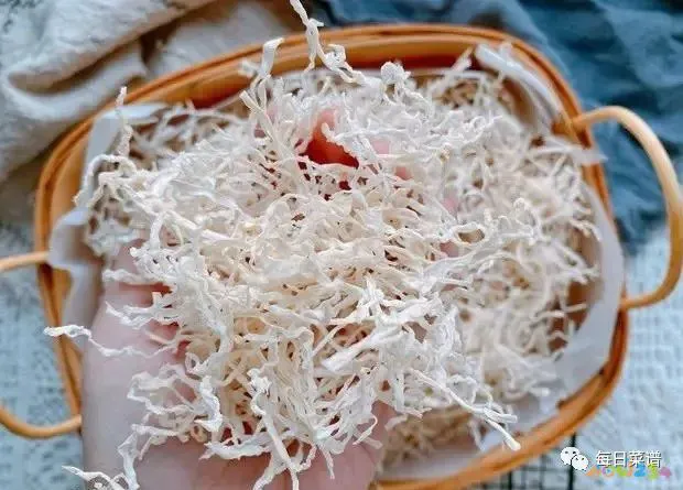 炖肉的家常做法_萝卜炖肉的家常做法_豆角炖肉的家常做法