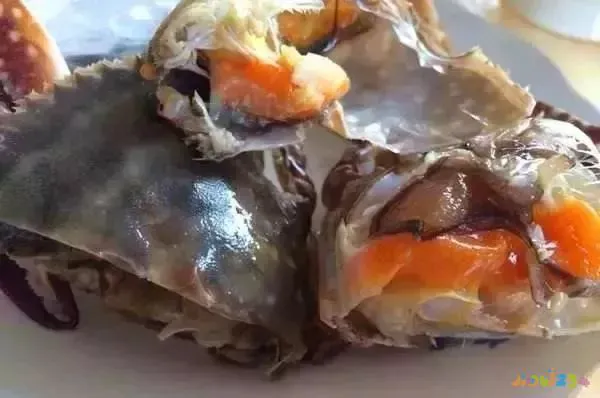 白菜家常做法焖饼视频_白菜焖饼的家常做法_白菜家常做法焖饼怎么做