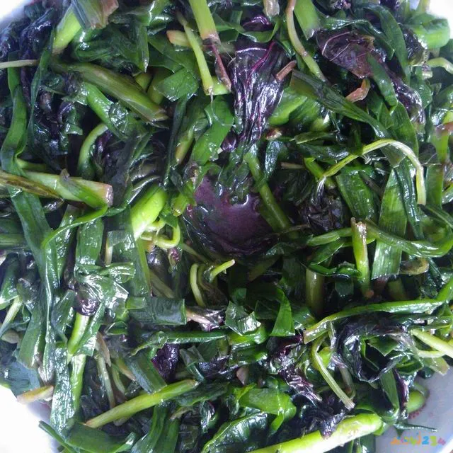 韭菜辣椒酱的做法大全家常做法视频_凉拌海参做法大全家常做法视频_凉拌韭菜的家常做法