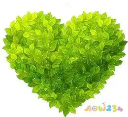 葱花烙饼的家常做法_葱花家常做法烙饼怎么做_葱花家常做法烙饼窍门