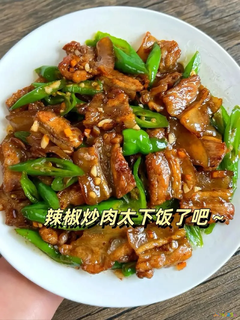 家常做法干煸豆角怎么做_干煸豆角的做法家常干煸豆角_干煸豆角的家常做法