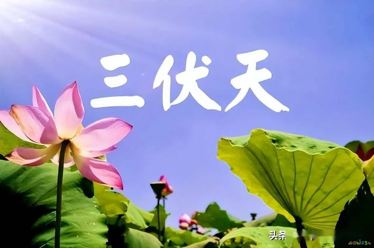 冬瓜炒花甲的做法_花蛤炒冬瓜的家常做法_炒冬瓜的吃法