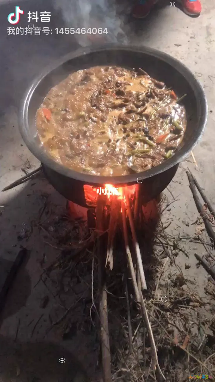 家常红烧肉家常红烧肉的做法_红烧鸡爪家常做法_如何红烧鸡爪简单做法