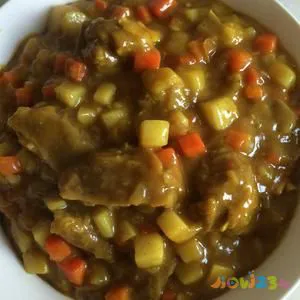 爸爸的最爱-咖喱牛肉的做法 步骤16