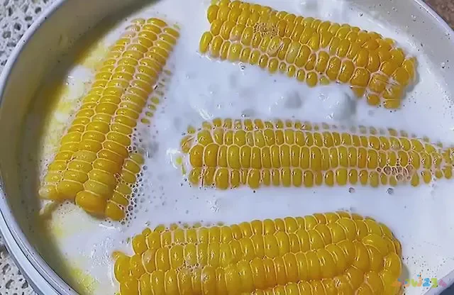 玉米的家常菜_玉米家常菜谱菜做法窍门_菜谱家常菜做法玉米