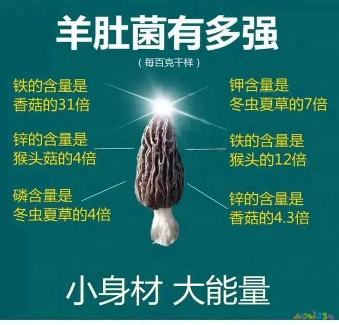 墨鱼汤的家常做法_墨鱼汤怎么做好喝_家常汤做法墨鱼怎么做