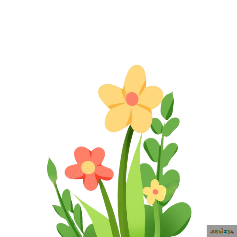 教我做家常菜_做家常菜教程_家常菜做法讲解