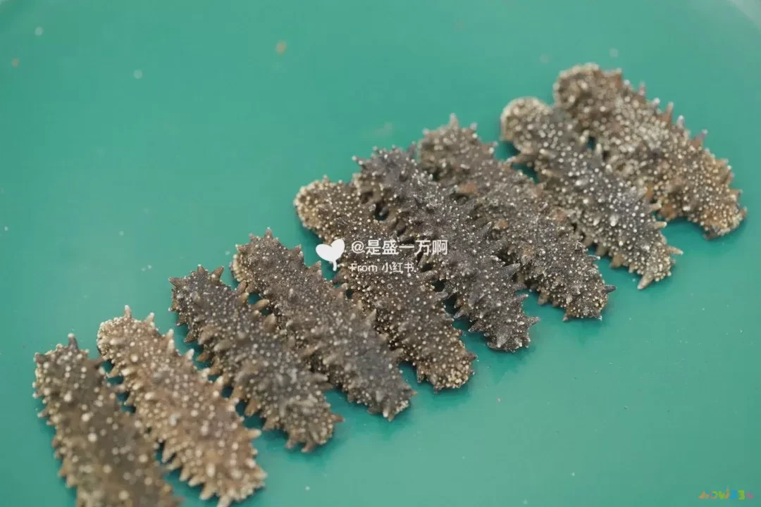 梅花参的家常做法_家常做法梅花参片怎么做_家常做法梅花参怎么做